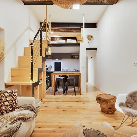 Loft, Briques Roses Et Authentiquement Toulousain * Toulouse